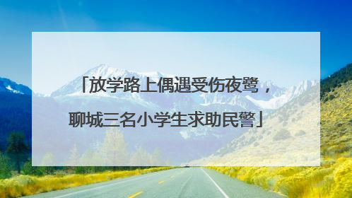 放学路上偶遇受伤夜鹭，聊城三名小学生求助民警